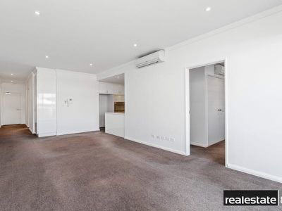 8 / 176 Newcastle Street, Perth
