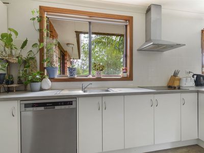 53 Wyoming Avenue, Burrill Lake