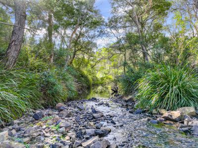 Lot 193 / 443 Back Creek Road, Mongarlowe