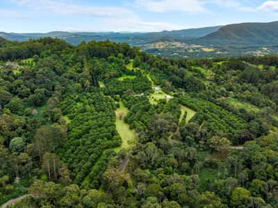 1005 TUNTABLE CREEK ROAD, Nimbin