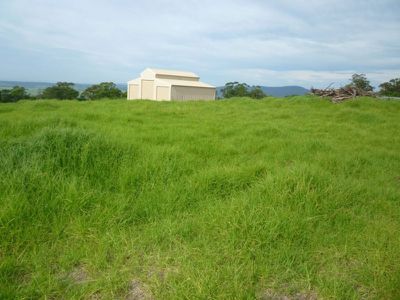 3 Graydons Pointer Road, Milton