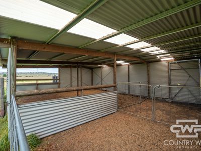 408 Glen Legh Road, Glen Innes