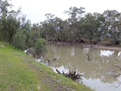 4 / Shady Acres Lane, Moulamein