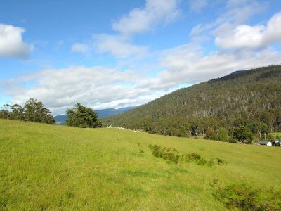 264 Judds Creek Road, Judbury