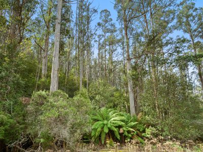 284 Llantwit Road, Woodbridge