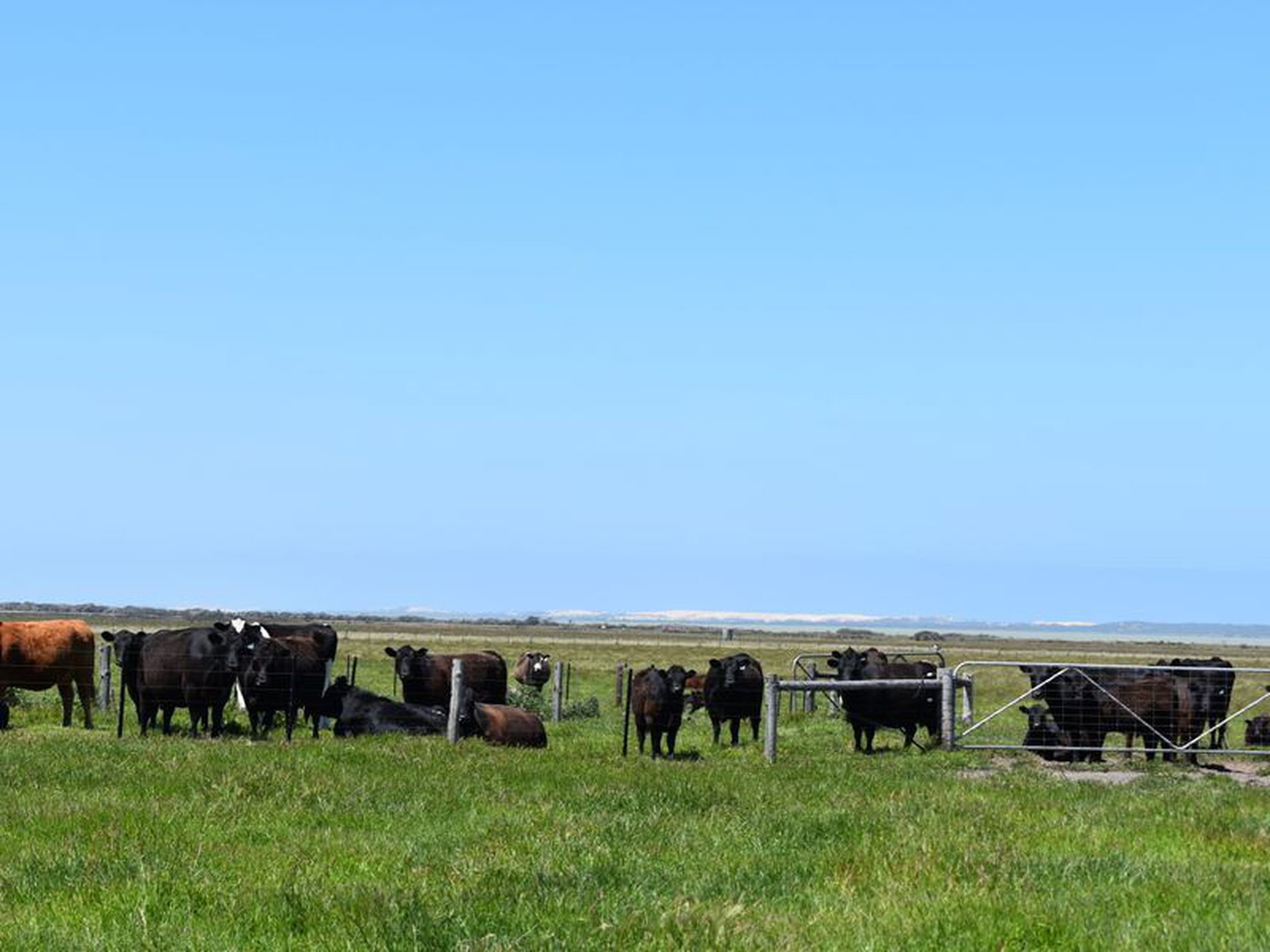 1404 Canunda Frontage Road, Millicent