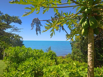 4 Elizabeth Street, Flying Fish Point