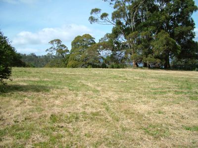 124 Dillons Hill Road, Cygnet
