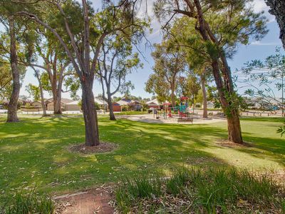 11 Curlewis Drive , Baldivis