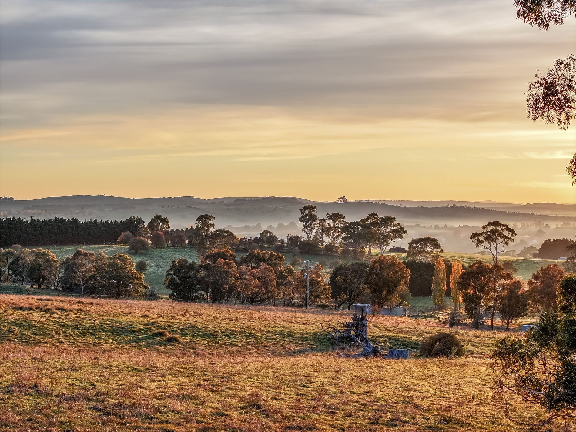 151 Gillamatong Lane, Braidwood