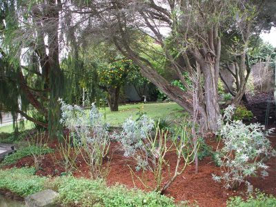 8 Wyatt Street, Mount Gambier