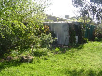52 Douglas Street, Geurie