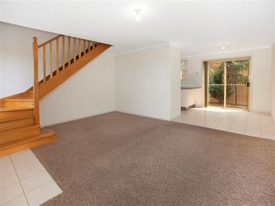 3 / 10 Platypus  Cl, Figtree