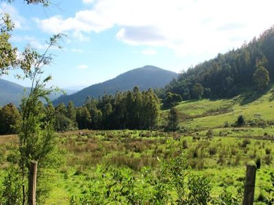 Halls Track Road, Pelverata