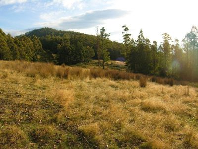 1 Halls Track Road, Pelverata