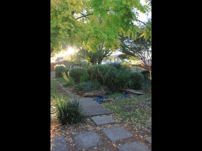 291 Darling Street, Dubbo