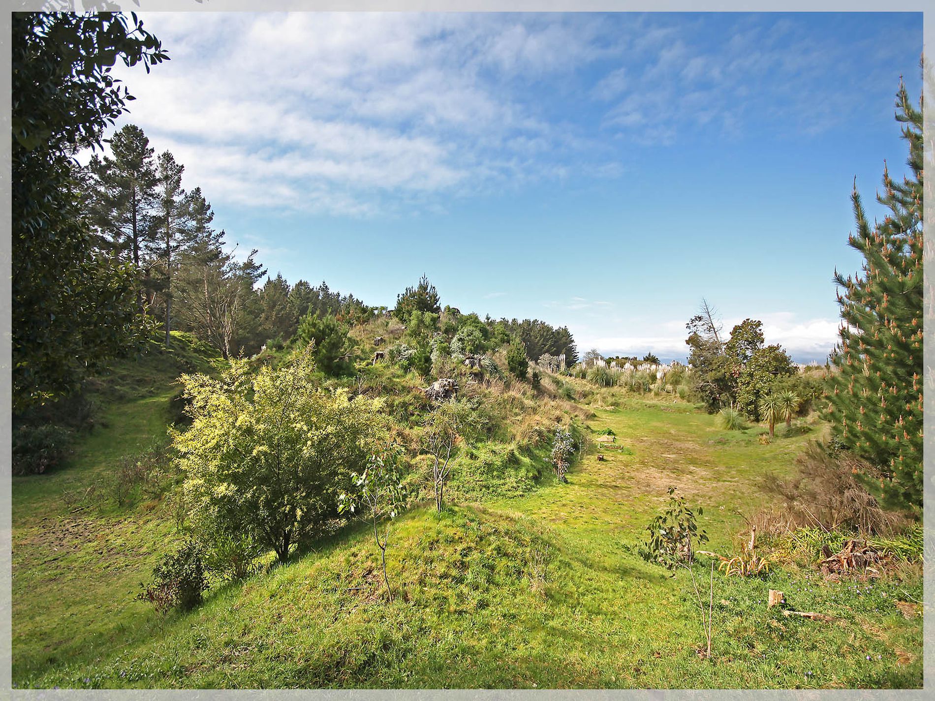 66 Palmer Road, Foxton Beach