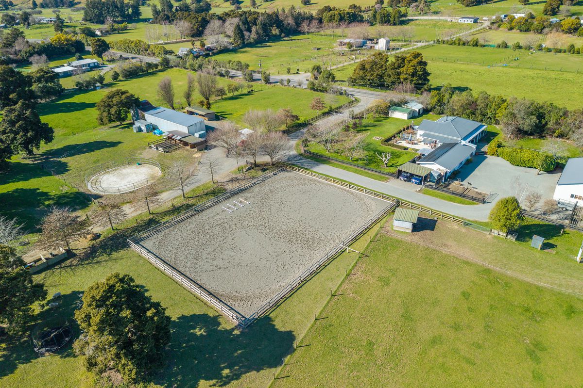 Superior equine lifestyle with legal income stream