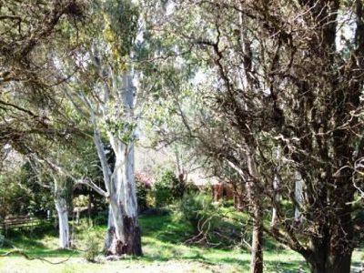 126 Damms Road , Tawonga