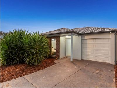 4 Moretti Court, Marshall