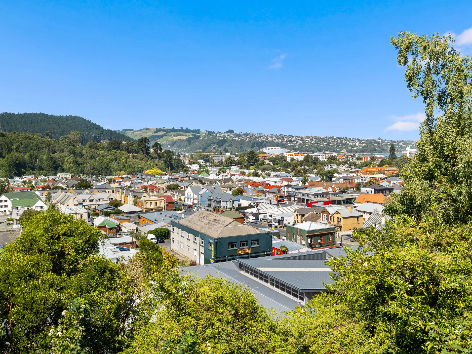151 Queen Street, North Dunedin