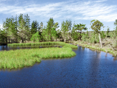 464 Tally Ho, Braidwood