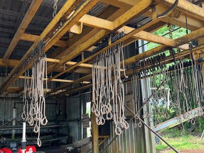 94 SOUTH JOHNSTONE ROAD, Boogan