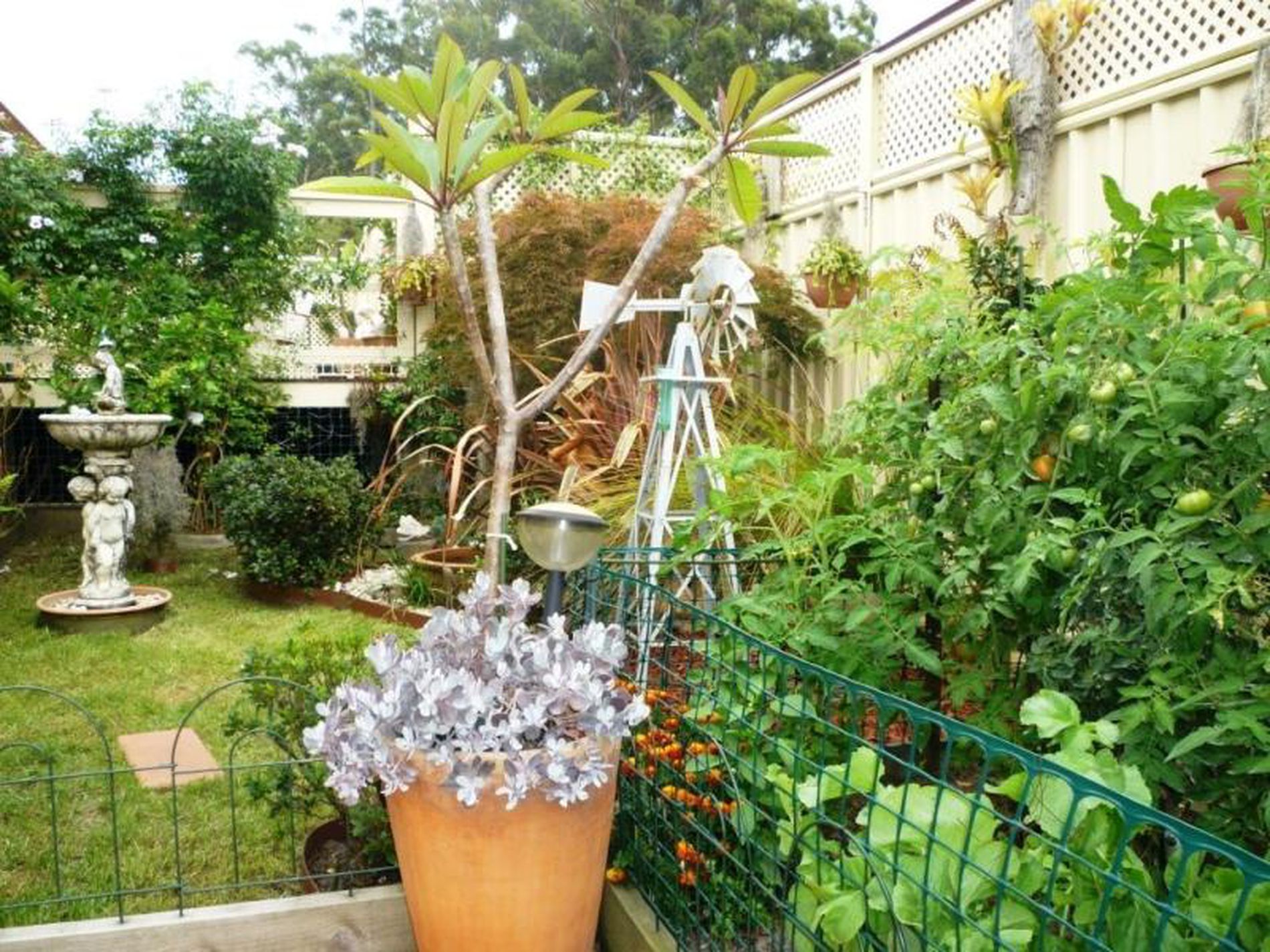 4 / 62 Royal Mantle Drive, Ulladulla