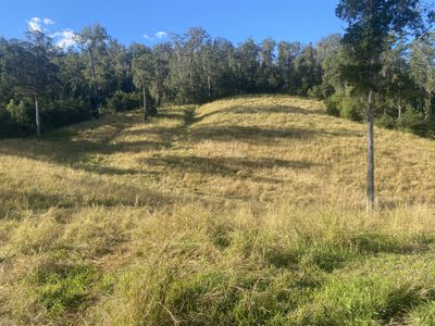 Lot 94, 2667 Pappinbarra Road, Pappinbarra