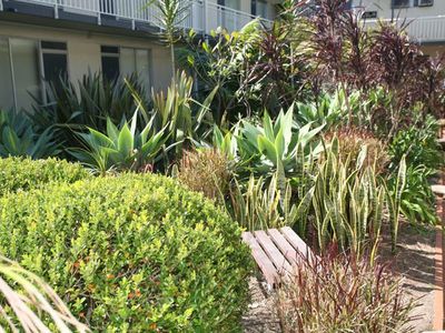 71 / 19 Forbes  (entrance On Plunkett St Off Burke St) Street, Woolloomooloo