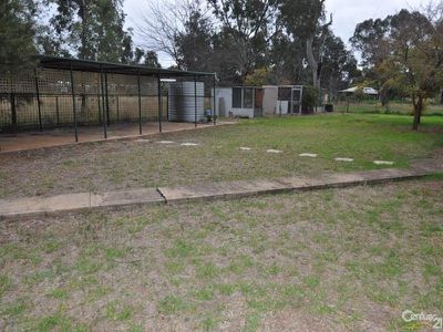 9 Nardoo Street, Ballimore