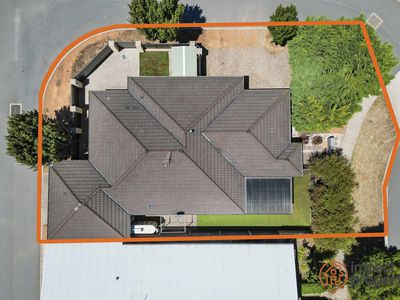 19 Patrick White Circuit, Franklin