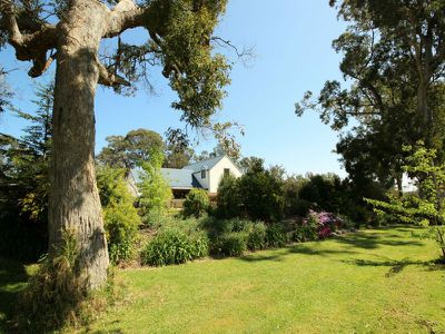 542 Candelo-Wolumla Road, Wolumla