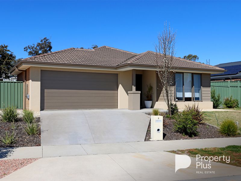 Real Estate Agent Bendigo Property Plus Real Estate