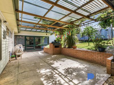 50 Specimen Hill Road, Golden Square