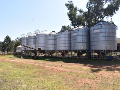 3166 Back Trundle Road, Parkes