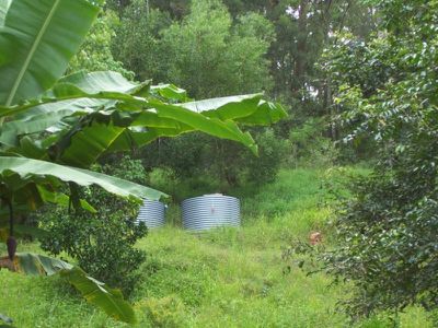 Maleny