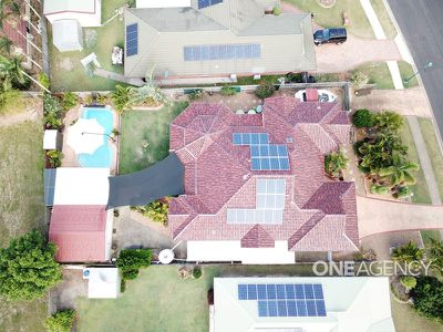 77 Bowerbird Avenue, Eli Waters