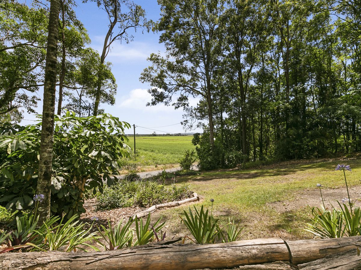 14 BURTONS ROAD, Maroochy River Nev Kane Real Estate