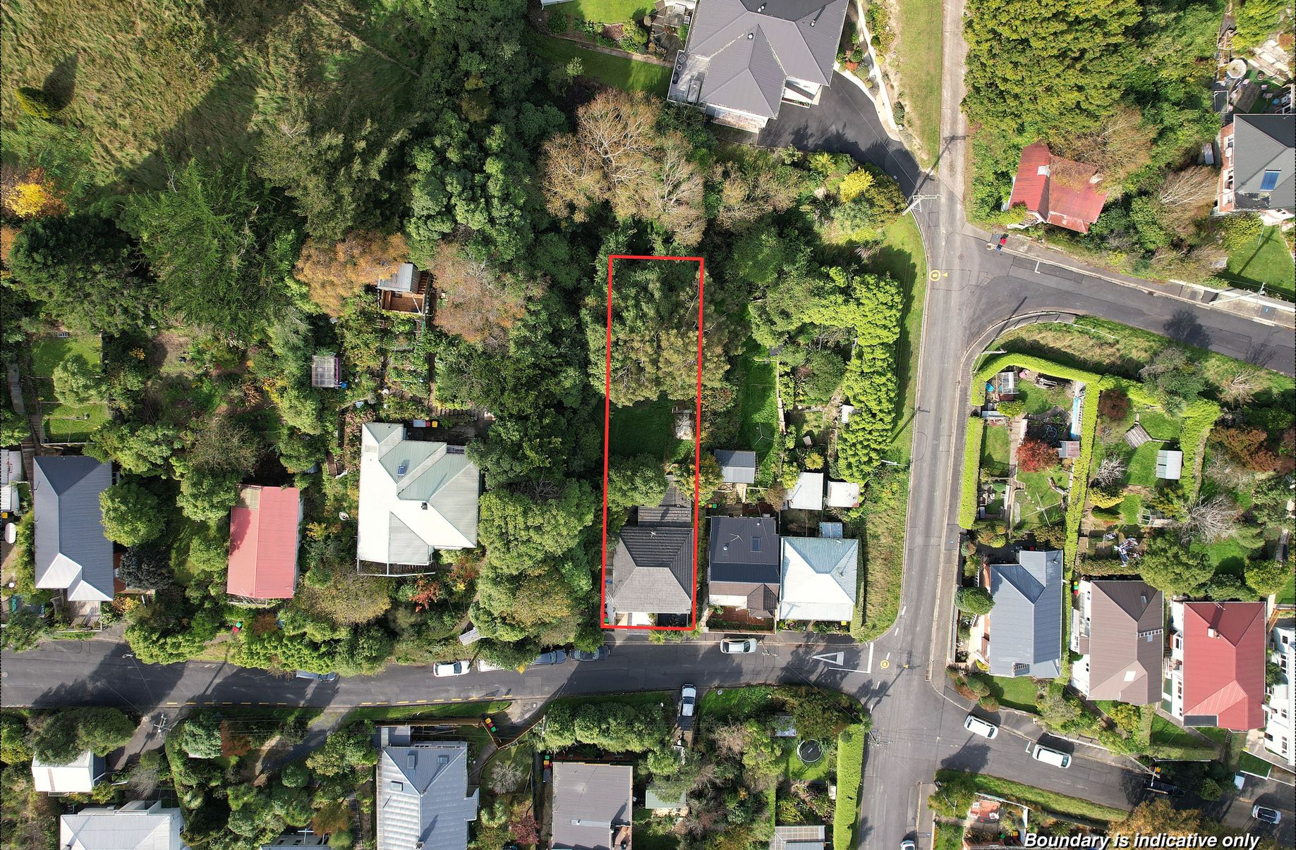 6 Cardigan Street, North East Valley