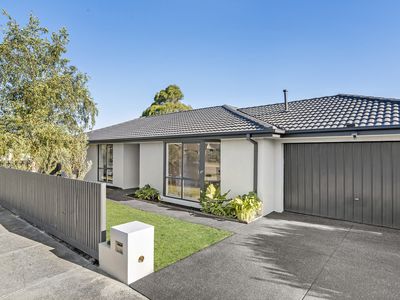 11 Killingholme Drive, Mornington