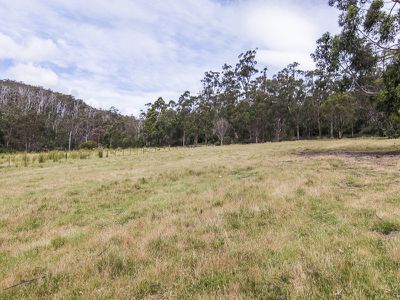 0 Walters Road, Wattle Grove
