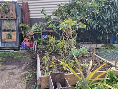8 / 121 Dalley Street, Mullumbimby
