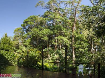 7 Rose Ash Crescent, Noosaville