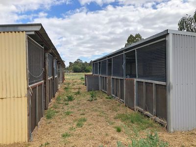 125 Heinz Street, East Bendigo