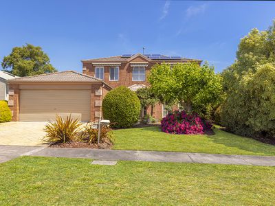 20 Shearer Court, Frankston South