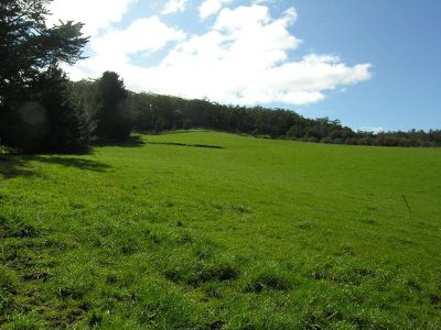 Gans Lane, Geeveston