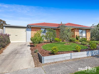 44 Springfield Crescent, Hampton Park