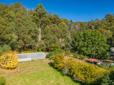 230 Nicholls Rivulet Road, Oyster Cove