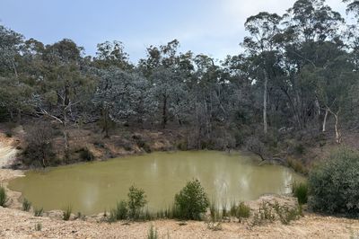266 Strawberry Creek Road, WINDELLAMA, Windellama - Thumbnail 2